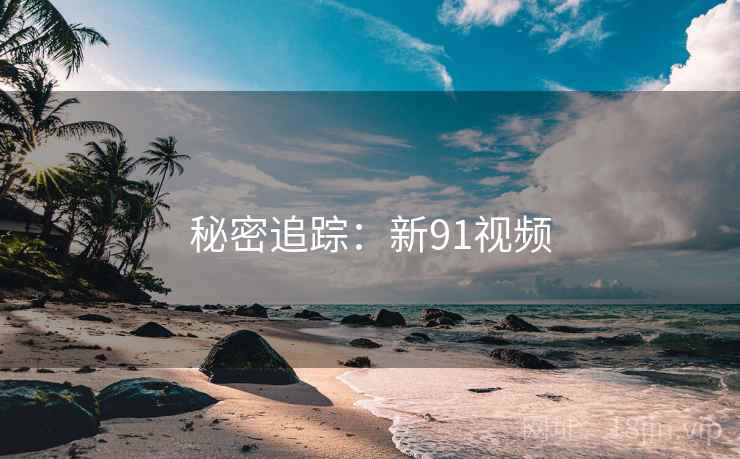 秘密追踪：新91视频