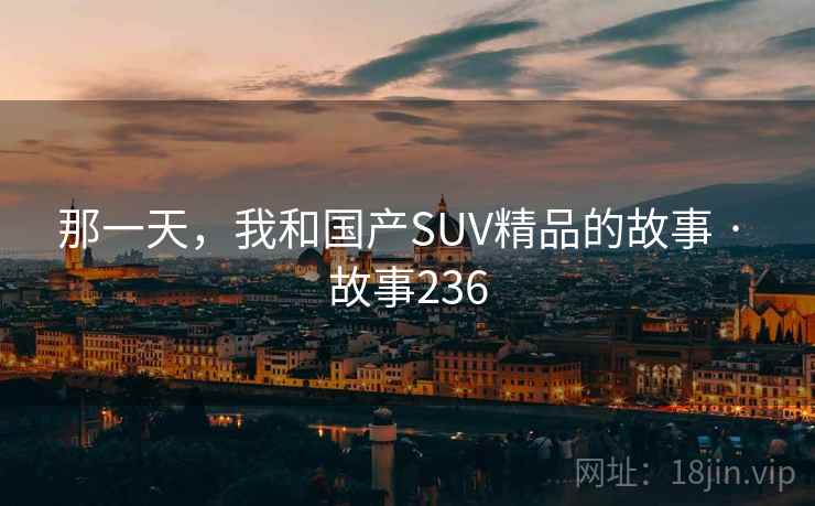 那一天，我和国产SUV精品的故事 · 故事236
