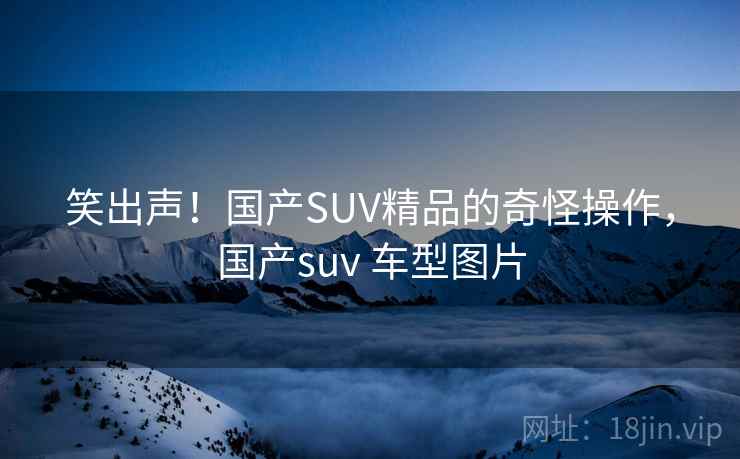 笑出声!国产SUV精品的奇怪操作,国产suv 车型图片 笑出声!国产SUV精品的奇怪操作,国产suv 车型图片